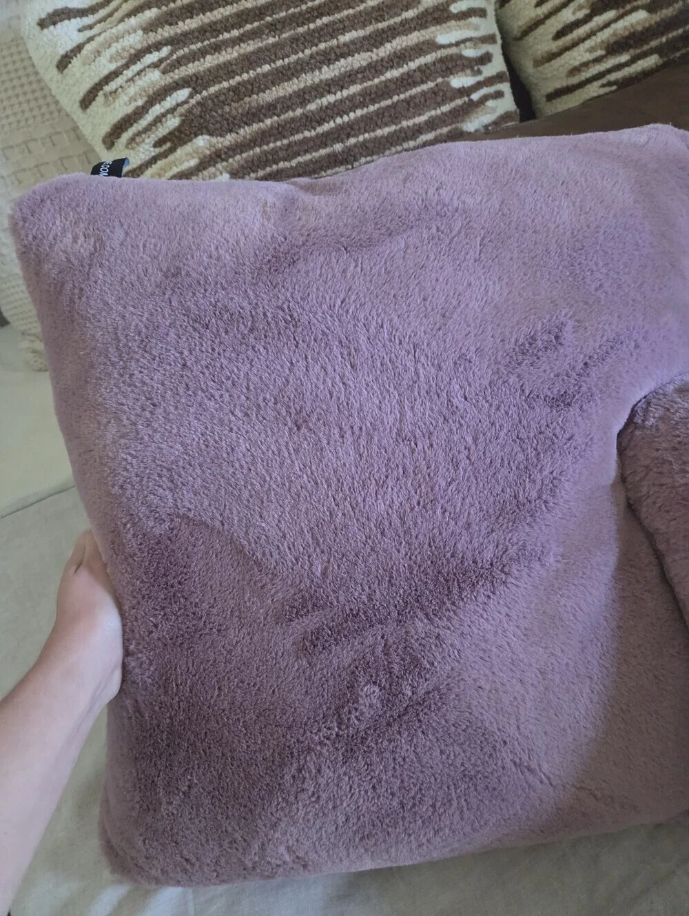 Rodeo Home pillow covers